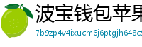 波宝钱包苹果版安装教程